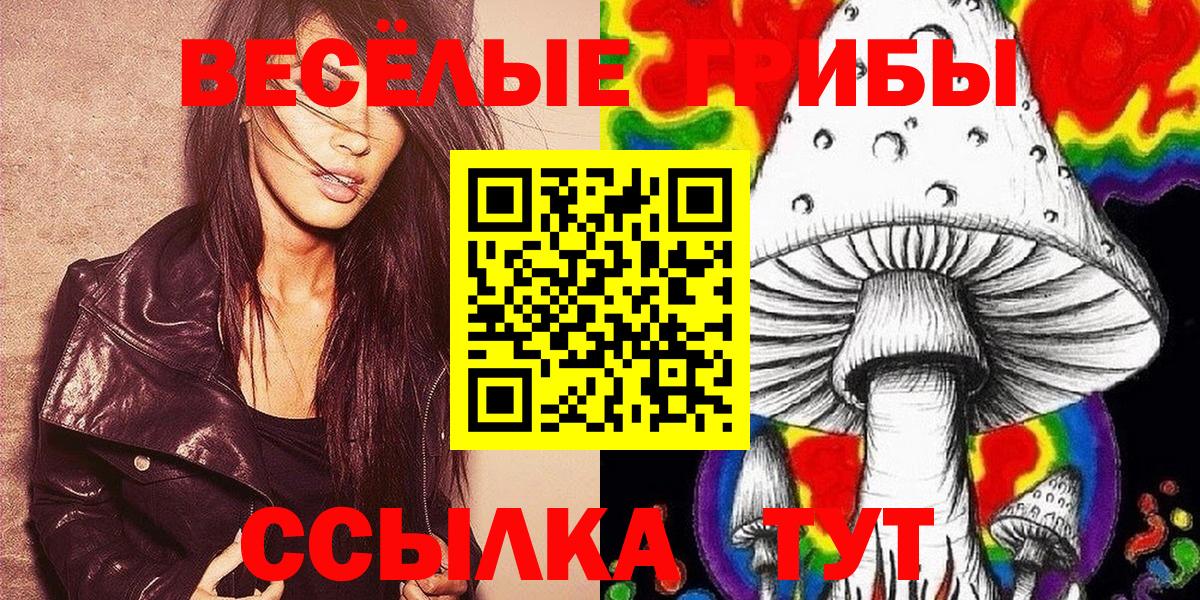 Жигулёвск  Галлюциногенные грибы ЛСД  Вход с VPN 