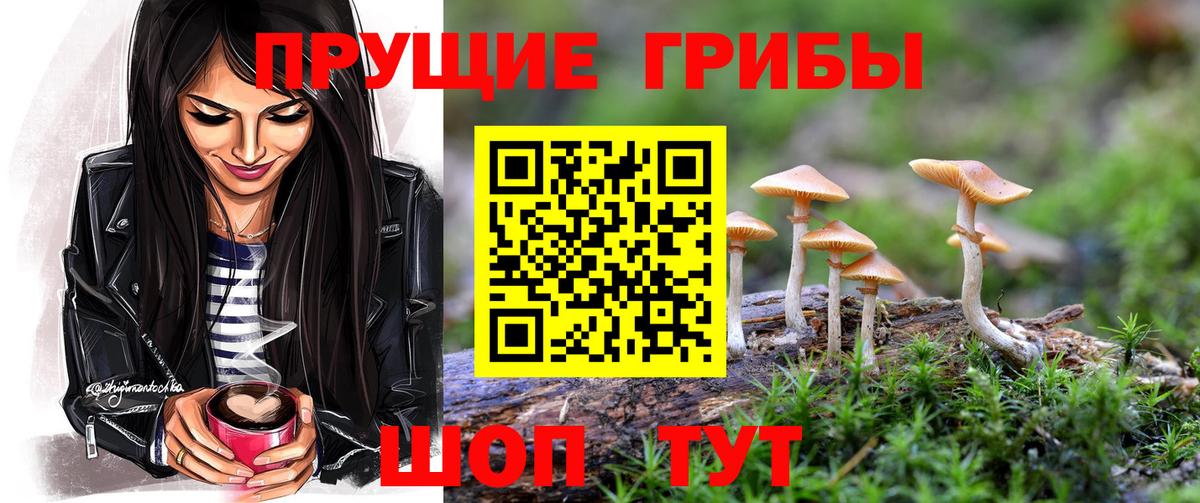 Псилоцибиновые грибы MAGIC MUSHROOMS Жигулёвск